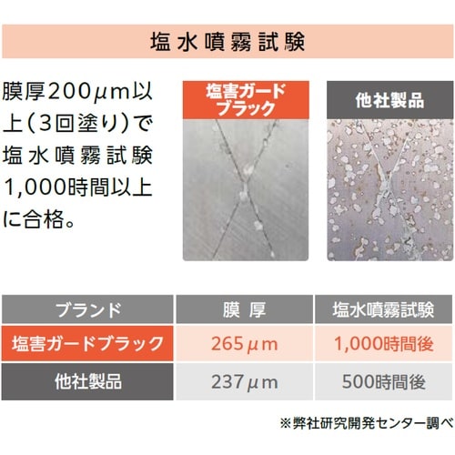 イチネンケミカルズ 塩害ガード 1kg