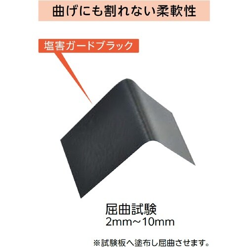 イチネンケミカルズ 塩害ガード スプレー黒 420