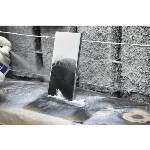 イチネンケミカルズ 青ニス除去剤S 420mL