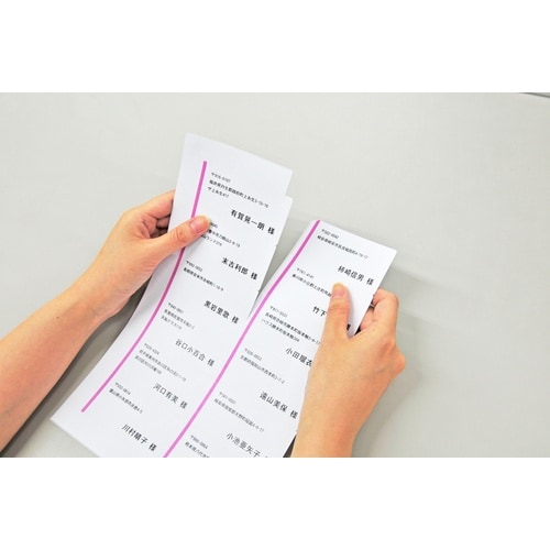 中川製作所 楽貼ラベル 24面 上下余白付 RB1