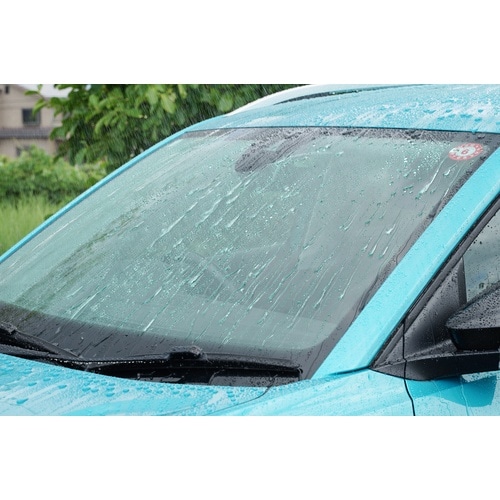 SOFT99 自動車用シャンプー&撥水コーティング