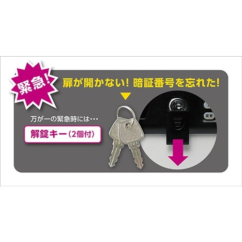 ソニック 暗証番号キーボックステンキー式 48個吊