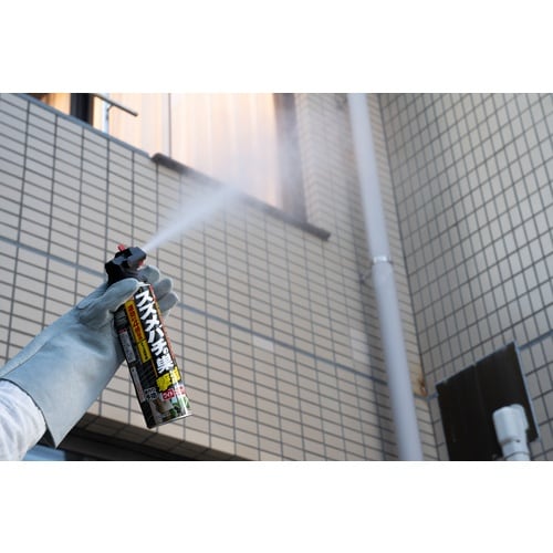 アース アースガーデン スズメバチの巣撃滅 550