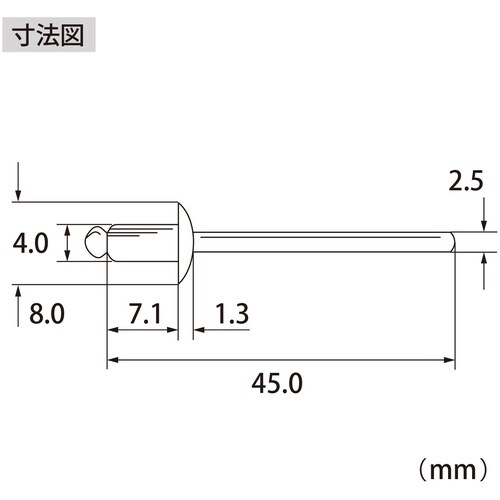 エビ ブラインドリベット(ステンレス/スティール製