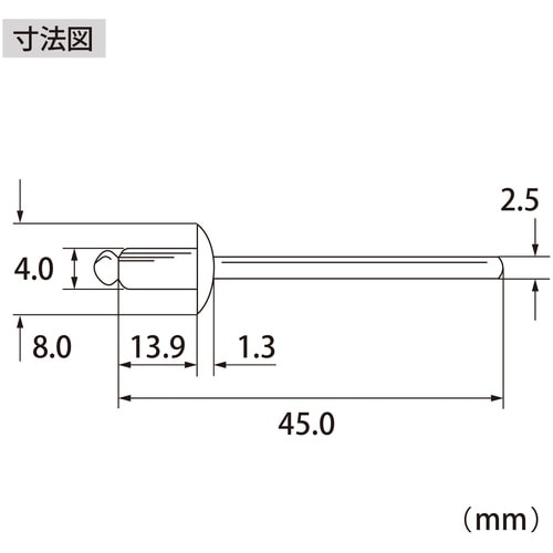 エビ ブラインドリベット(ステンレス/スティール製