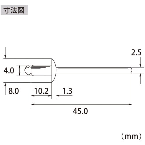エビ ブラインドリベット(ステンレス/ステンレス製
