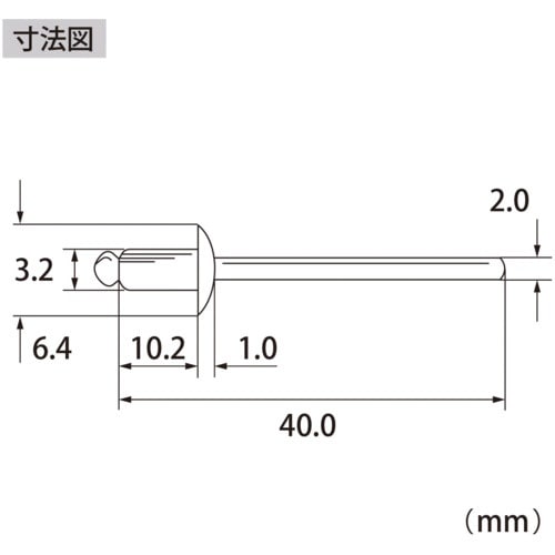 エビ ブラインドリベット(ステンレス/ステンレス製