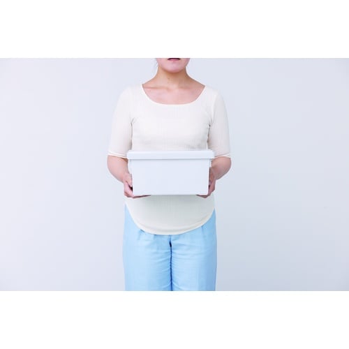 TENMA いれと庫interior S グレー