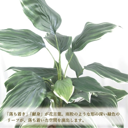 ササガワ 人工観葉植物 ホスタ Lサイズ