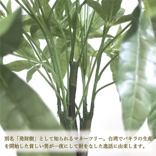 ササガワ 人工観葉植物 パキラ Lサイズ