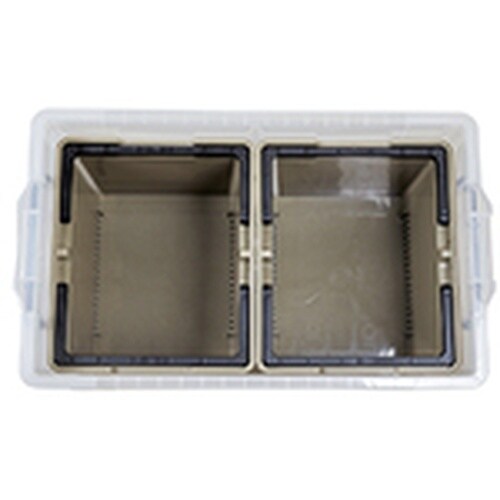 JEJアステージ 【3月1日ー3月31日まで】ST