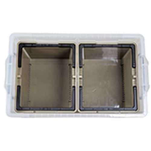 JEJアステージ 【3月1日ー3月31日まで】ST