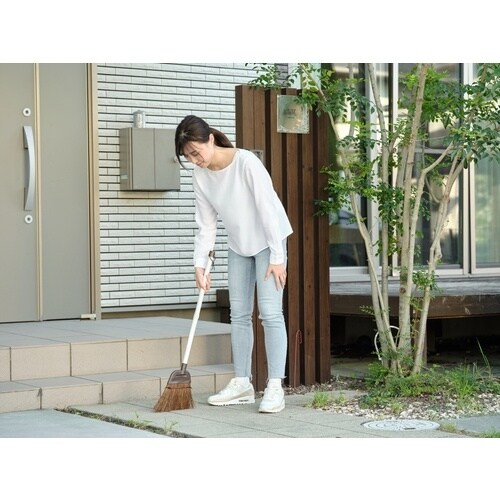 コンドル DAILYCLEAN 庭箒(シダ)S 2