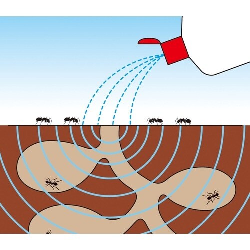 フマキラー アリ用殺虫剤 巣のアリ退治 液剤800