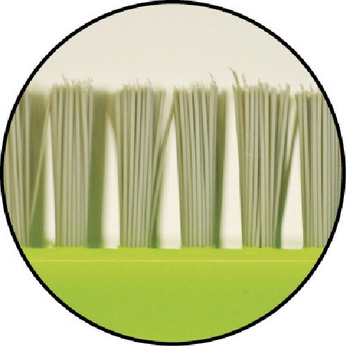 azuma ハンドブラシ BA726 コケ取りブラ