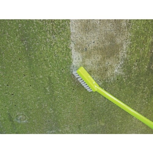 azuma ハンドブラシ BA726 コケ取りブラ