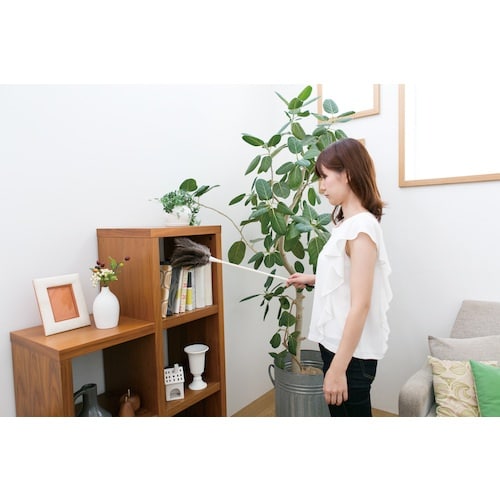 テラモト MMダチョウハタキ L