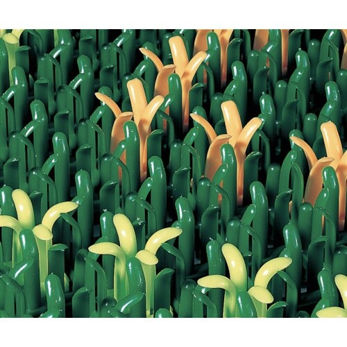 テラモト 花柄ヨクトールマット 若草