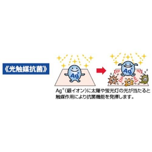 テラモト Ag+快適バスマット ブラウン 900×