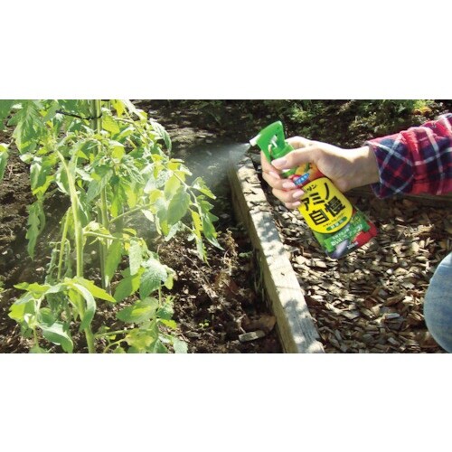 フマキラー 園芸用品 カダンアミノパワー野菜用20