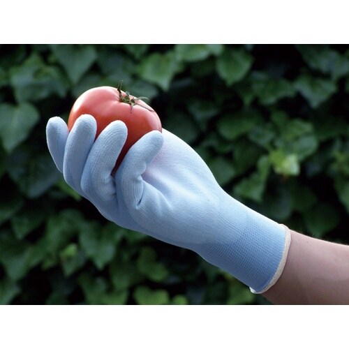 アトム ケミソフト ピッタリブルー M