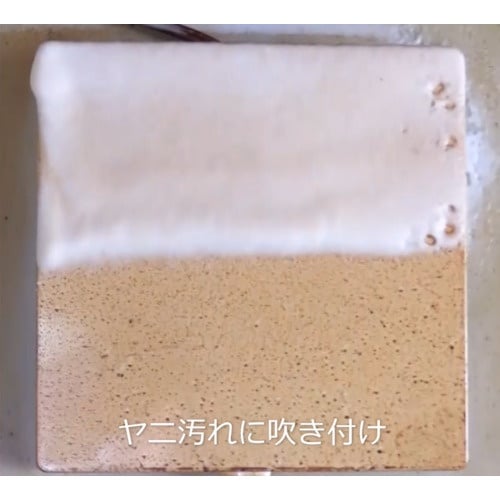 ニッぺ ホームクリーナー 420ml HPE100