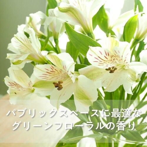 サラヤ 手洗い石けん液 シャボネット石鹸液 1KG