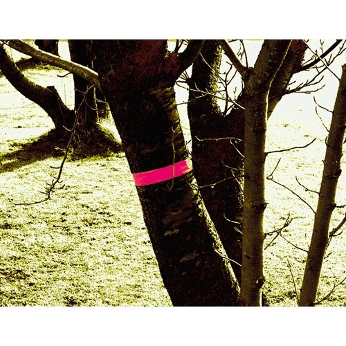 シンワ マーキングテープ 蛍光ピンク