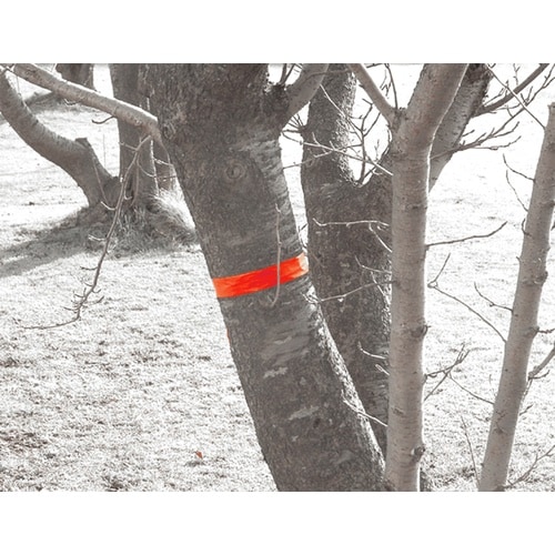 シンワ マーキングテープ30mm×50m蛍光オレン