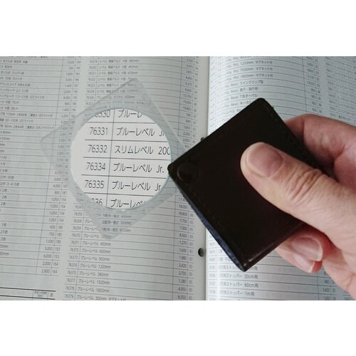 シンワ ルーペ N2