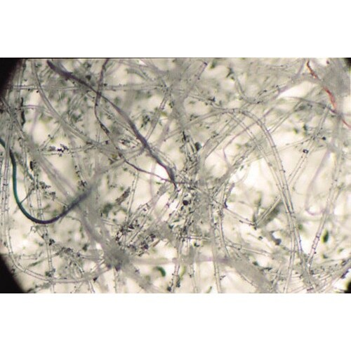 テラモト ライトダスターT99 200×990mm