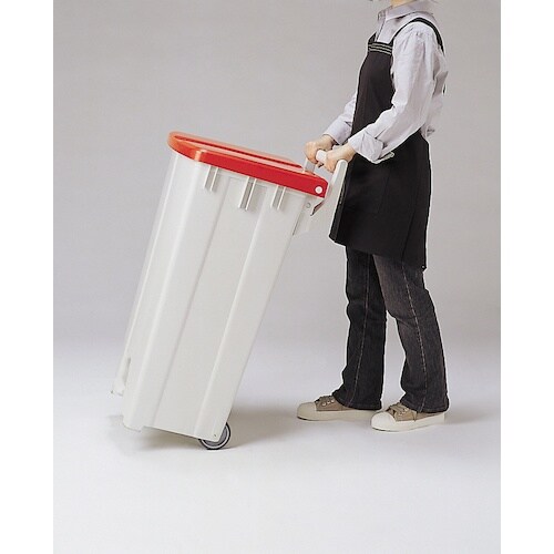 テラモト ボックスカート 90青