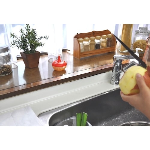 アース コバエがホイホイ