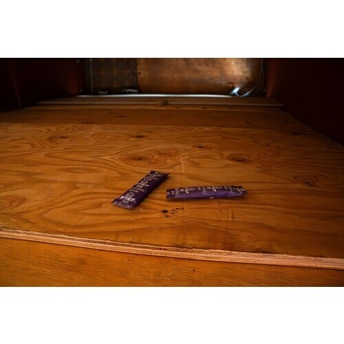 アース 防獣用品 デスモアプロ 投げ込みタイプ ネ