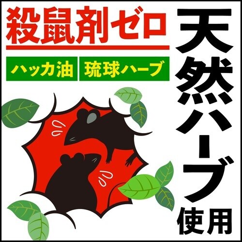 アース ネズミ一発退場(くん煙タイプ)