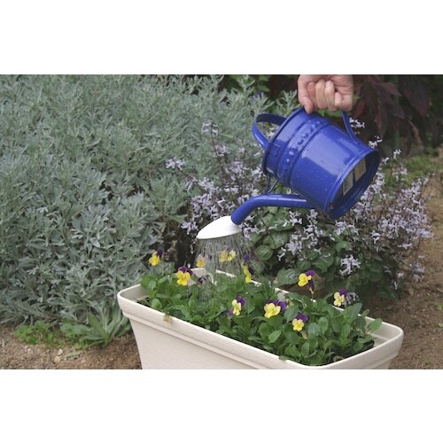 ハイポネックス リキダス