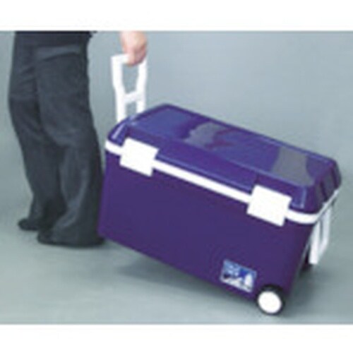 JEJアステージ フォレスクルー#45 Dブルー