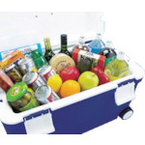 JEJアステージ フォレスクルー#45 Dブルー