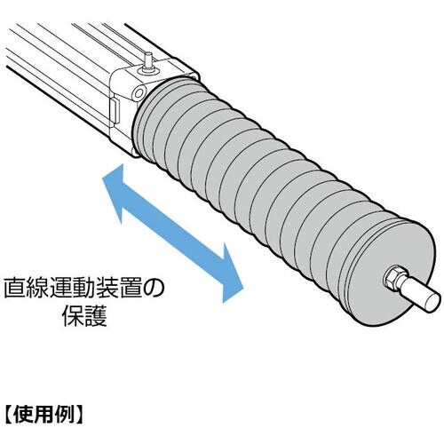 SUGATSUNE (210025229)BLW1