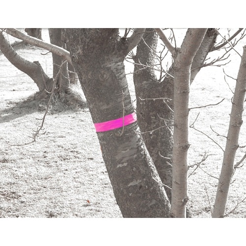 シンワ マーキングテープ 30mm×100m 蛍光