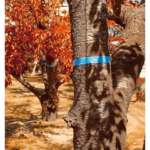 シンワ マーキングテープ 30mm×50m ブルー