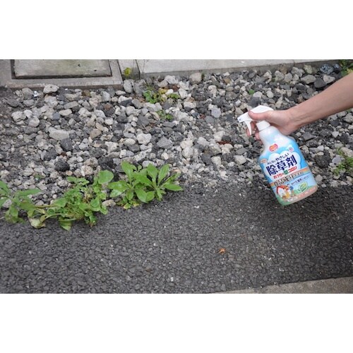 アース ガーデンおうちの草コロリスプレー1000m