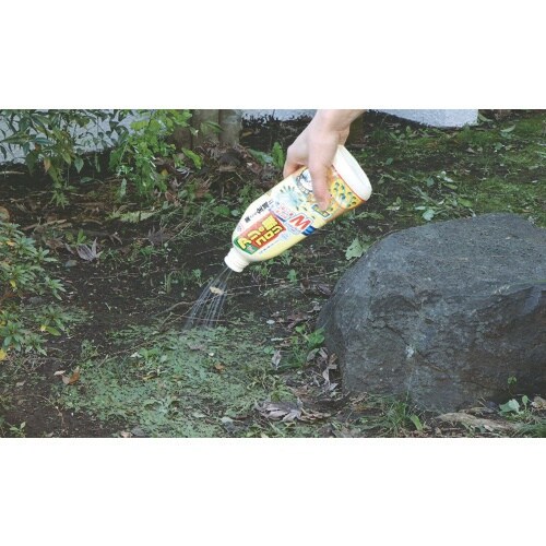 アース アリの巣コロリ シャワータイプ 500ml