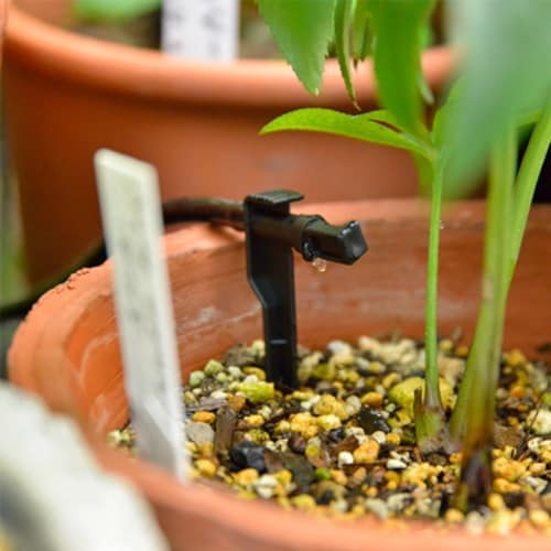 タカギ 水やりスターターキット タイマー付(鉢植え