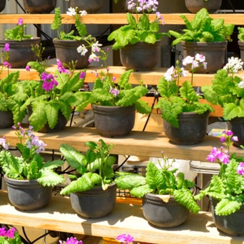 タカギ 水やりスターターキット タイマー付(鉢植え