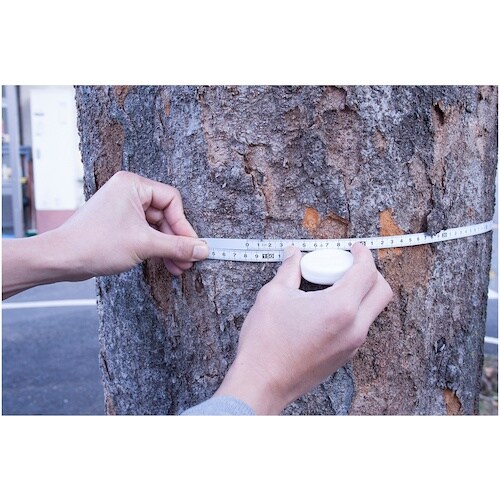 KDS ダイヤメータールール10・2