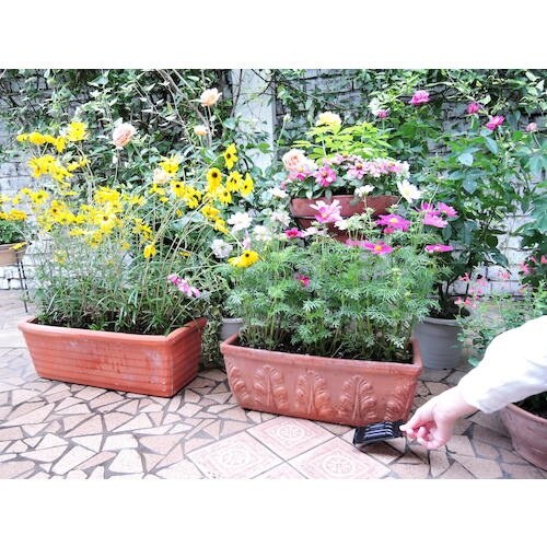 アース ガーデン ネコ専用のみはり番容器タイプ4個