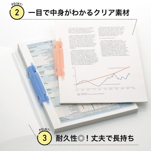 LIHIT フラットファイル A4ルーパーファイル