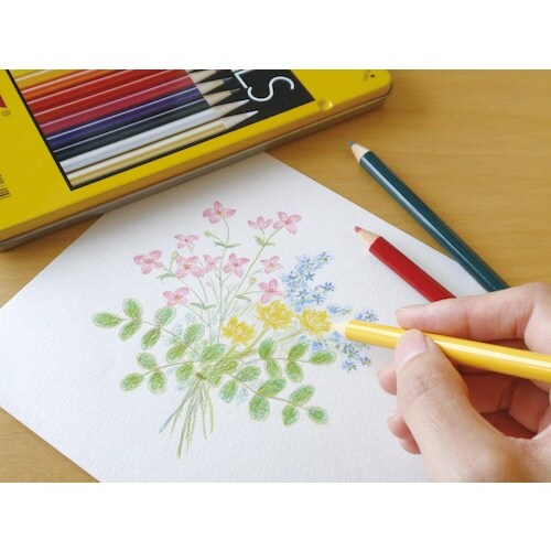 Tombow 色鉛筆12色NQ