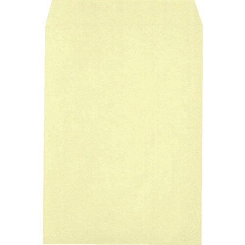 キングコーポ プライバシー保護封筒100角2 ソフ